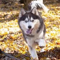 processed/d8126273-25e4-4855-b978-9e764b05b2ce/facility/b278f808-cb92-47d4-aa78-f45633718aaf