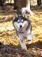 processed/d8126273-25e4-4855-b978-9e764b05b2ce/facility/b278f808-cb92-47d4-aa78-f45633718aaf