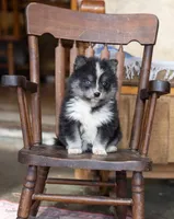 processed/d8126273-25e4-4855-b978-9e764b05b2ce/listing/158fcf1b-dcf7-4897-80c6-025673683d0c/68ffc400-07ae-4263-b680-fa806b704c63