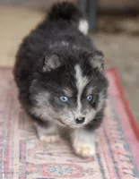 processed/d8126273-25e4-4855-b978-9e764b05b2ce/listing/158fcf1b-dcf7-4897-80c6-025673683d0c/9127c5dc-a139-45da-9bd1-adf6a9543fa8