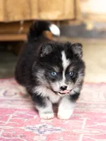 processed/d8126273-25e4-4855-b978-9e764b05b2ce/listing/158fcf1b-dcf7-4897-80c6-025673683d0c/f1a79427-e7db-4763-977c-dce90b02976c