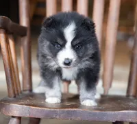 processed/d8126273-25e4-4855-b978-9e764b05b2ce/listing/16b1962c-ab54-47ed-b211-9b63f09b34a9/2b058fb3-76bc-4059-8075-01e9e37500f1