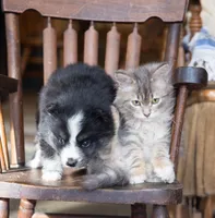 processed/d8126273-25e4-4855-b978-9e764b05b2ce/listing/16b1962c-ab54-47ed-b211-9b63f09b34a9/2f238a73-bbb3-4fb8-8d0d-561406b31329