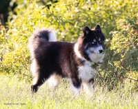 processed/d8126273-25e4-4855-b978-9e764b05b2ce/listing/16b1962c-ab54-47ed-b211-9b63f09b34a9/9dc23167-413f-41db-a1e9-eb6a4ab3135a