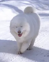 processed/d8126273-25e4-4855-b978-9e764b05b2ce/listing/16b1962c-ab54-47ed-b211-9b63f09b34a9/ef687b6a-5257-497c-86e9-b424117cffec