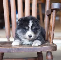 processed/d8126273-25e4-4855-b978-9e764b05b2ce/listing/428bc620-6785-4188-b233-709e56133631/0099f9e2-338f-4fdf-b95f-82ee3446db5c