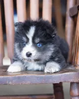 processed/d8126273-25e4-4855-b978-9e764b05b2ce/listing/428bc620-6785-4188-b233-709e56133631/278601bf-edbb-4bf2-abe3-600eabf5b0af