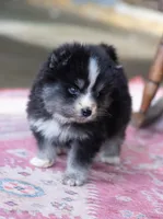 processed/d8126273-25e4-4855-b978-9e764b05b2ce/listing/428bc620-6785-4188-b233-709e56133631/2bd18e12-e5d0-4a3d-9a75-46d001a88e52