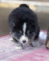 processed/d8126273-25e4-4855-b978-9e764b05b2ce/listing/428bc620-6785-4188-b233-709e56133631/5f0be70f-195f-41bf-ac3d-ad2b9ccc861b