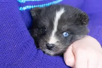 processed/d8126273-25e4-4855-b978-9e764b05b2ce/listing/428bc620-6785-4188-b233-709e56133631/7c8bb804-9e21-44dd-84a0-2566616eee5f