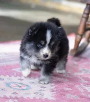 processed/d8126273-25e4-4855-b978-9e764b05b2ce/listing/428bc620-6785-4188-b233-709e56133631/997ba229-bdb7-4c92-81a7-0e659b66fb42