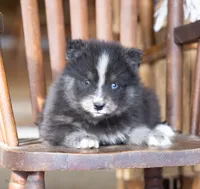 processed/d8126273-25e4-4855-b978-9e764b05b2ce/listing/854ea9f7-9237-4a96-8ff5-38e14723fa55/0559b5be-4e22-4c28-b124-51a7d62f2a2f