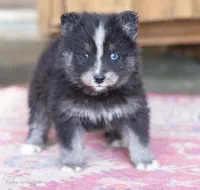 processed/d8126273-25e4-4855-b978-9e764b05b2ce/listing/854ea9f7-9237-4a96-8ff5-38e14723fa55/3d755638-5c29-4141-9f26-151b17ac3dd8