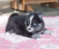 processed/d8126273-25e4-4855-b978-9e764b05b2ce/listing/854ea9f7-9237-4a96-8ff5-38e14723fa55/45600579-5911-41a5-9336-9dd25fb66ea8