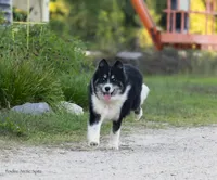 processed/d8126273-25e4-4855-b978-9e764b05b2ce/listing/854ea9f7-9237-4a96-8ff5-38e14723fa55/5aed7346-b37a-4777-b0b7-6e137c51d200