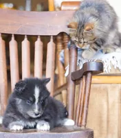 processed/d8126273-25e4-4855-b978-9e764b05b2ce/listing/854ea9f7-9237-4a96-8ff5-38e14723fa55/bde58ac7-0ff2-499e-9049-ddc7322eb386