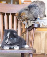 processed/d8126273-25e4-4855-b978-9e764b05b2ce/listing/854ea9f7-9237-4a96-8ff5-38e14723fa55/dd2099c1-fa8b-4536-bf24-96e7c0fa9d57