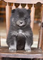 processed/d8126273-25e4-4855-b978-9e764b05b2ce/listing/d1cf2623-00ab-42ca-9a32-4a99dd9f3d91/182d63c9-1278-4cce-907d-3bfea33ba5cd