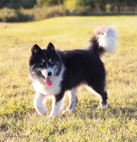 processed/d8126273-25e4-4855-b978-9e764b05b2ce/listing/d1cf2623-00ab-42ca-9a32-4a99dd9f3d91/263ac8f2-a68f-42e2-836e-d609113bbb70