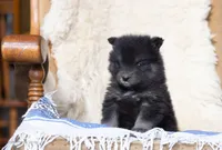 processed/d8126273-25e4-4855-b978-9e764b05b2ce/listing/d1cf2623-00ab-42ca-9a32-4a99dd9f3d91/28b7dc90-3ffb-4717-8fb4-cd1a64d519ac