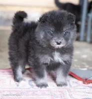 processed/d8126273-25e4-4855-b978-9e764b05b2ce/listing/d1cf2623-00ab-42ca-9a32-4a99dd9f3d91/75d756e6-c4d1-403f-bc56-bac9347f1f29