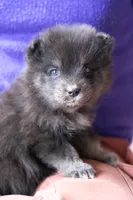 processed/d8126273-25e4-4855-b978-9e764b05b2ce/listing/d1cf2623-00ab-42ca-9a32-4a99dd9f3d91/c4ad9f87-22d3-4b26-bbcf-bc3d6e5df06e