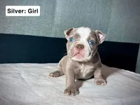 processed/d81940a4-dbc9-4a6f-8fdc-188895e90b8d/listing/da1abed3-e119-40d9-b3d7-656e5706e521/447ab383-fad0-4e06-8b6d-13a5e82d15ae