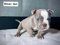 processed/d81940a4-dbc9-4a6f-8fdc-188895e90b8d/listing/da1abed3-e119-40d9-b3d7-656e5706e521/4b809d7a-5f8d-431b-b2a1-188477e4dab4