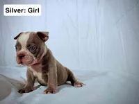 processed/d81940a4-dbc9-4a6f-8fdc-188895e90b8d/listing/da1abed3-e119-40d9-b3d7-656e5706e521/6ae5b639-d068-4cca-a942-5ee29a10204a