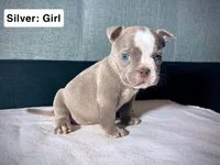 processed/d81940a4-dbc9-4a6f-8fdc-188895e90b8d/listing/da1abed3-e119-40d9-b3d7-656e5706e521/6af67487-168b-4884-8e13-ad213f393b53