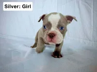 processed/d81940a4-dbc9-4a6f-8fdc-188895e90b8d/listing/da1abed3-e119-40d9-b3d7-656e5706e521/7d578903-ed34-4560-95ab-78db60ea81a9