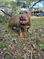 processed/d81940a4-dbc9-4a6f-8fdc-188895e90b8d/listing/da1abed3-e119-40d9-b3d7-656e5706e521/96d933c8-4612-41ff-84c5-2ba3b56e758a