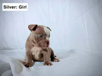 processed/d81940a4-dbc9-4a6f-8fdc-188895e90b8d/listing/da1abed3-e119-40d9-b3d7-656e5706e521/a7f97bce-a8a9-4761-ae45-6a1db0f4b28b