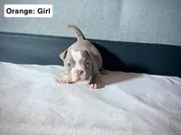 processed/d81940a4-dbc9-4a6f-8fdc-188895e90b8d/listing/f62854c0-207b-4c39-9a0f-33b12fd05659/18e2ed61-a8ab-4ba1-80d0-82a695b426e8