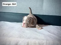 processed/d81940a4-dbc9-4a6f-8fdc-188895e90b8d/listing/f62854c0-207b-4c39-9a0f-33b12fd05659/31d542d5-13e2-455f-9c11-9911578c4ba8