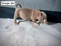 processed/d81940a4-dbc9-4a6f-8fdc-188895e90b8d/listing/f62854c0-207b-4c39-9a0f-33b12fd05659/3603f7f7-7143-47f8-a3a5-b0e278162fd7