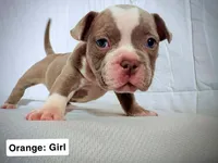 processed/d81940a4-dbc9-4a6f-8fdc-188895e90b8d/listing/f62854c0-207b-4c39-9a0f-33b12fd05659/42675548-149b-4180-b142-894b7495e594