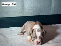 processed/d81940a4-dbc9-4a6f-8fdc-188895e90b8d/listing/f62854c0-207b-4c39-9a0f-33b12fd05659/6d97524e-0f6b-4497-b0f1-c9c4ec3964f4