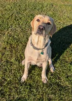 processed/d81b8846-f7df-42e0-ad91-070d7ba69f52/facility/659b9d58-7e37-4643-bd5d-6adb7e9b11cd