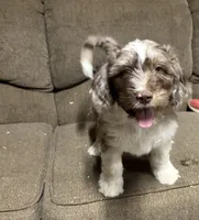 processed/d81ebacc-9d58-4d9b-a643-d3a7e8018898/listing/297a25d5-ade3-4248-85ba-78415425a8e1/bc47f4c0-2432-4b5e-8eb5-70a795af3b08