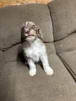 processed/d81ebacc-9d58-4d9b-a643-d3a7e8018898/listing/297a25d5-ade3-4248-85ba-78415425a8e1/d5086fd0-490b-469d-9584-be1866227bf0