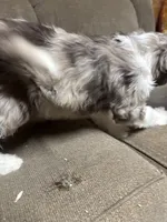 processed/d81ebacc-9d58-4d9b-a643-d3a7e8018898/listing/297a25d5-ade3-4248-85ba-78415425a8e1/e555b729-a133-4abc-ab45-d2d51f612907