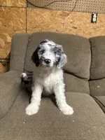 processed/d81ebacc-9d58-4d9b-a643-d3a7e8018898/listing/78011b56-2a33-4478-82ea-1b677c327bf2/01d99db2-9c23-4430-90d5-d69f800aefe1