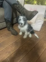 processed/d81ebacc-9d58-4d9b-a643-d3a7e8018898/listing/78011b56-2a33-4478-82ea-1b677c327bf2/59df4f9d-dec8-4dbc-b91e-a95710300f32