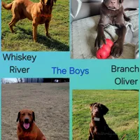 processed/d81f0e58-4e42-4962-98e7-77ae0eea5fdf/facility/7e7f0ce2-c726-46e9-8b51-7f36c9d509da