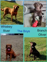 processed/d81f0e58-4e42-4962-98e7-77ae0eea5fdf/facility/7e7f0ce2-c726-46e9-8b51-7f36c9d509da