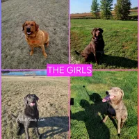 processed/d81f0e58-4e42-4962-98e7-77ae0eea5fdf/facility/d2657ec3-4290-4359-8482-d1454d00dd00