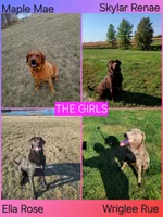 processed/d81f0e58-4e42-4962-98e7-77ae0eea5fdf/facility/d2657ec3-4290-4359-8482-d1454d00dd00