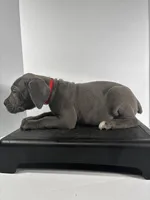 Red, a male Cane Corso for sale in Lehigh Acres, FL – Photo 3 of 7