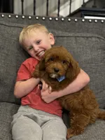 processed/d82e406f-1d66-4dab-8432-f1a05abb15ea/listing/1c6ca9bc-6fba-47bc-8cd5-dfcc8252824e/2e208365-bde4-4156-8da6-e2e99cbc79c9